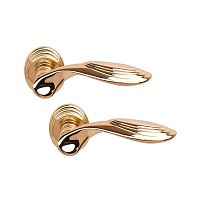 Ручки на розеті COLOMBO Cameo DB41 (DB19BZG-DB13) полірована латунь